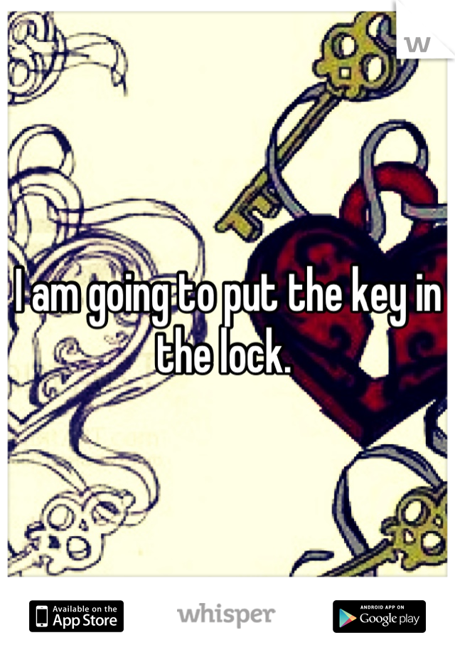 I am going to put the key in the lock. 