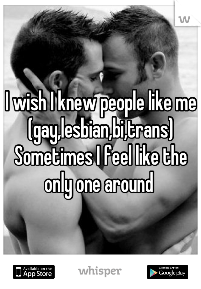 I wish I knew people like me (gay,lesbian,bi,trans) 
Sometimes I feel like the only one around 