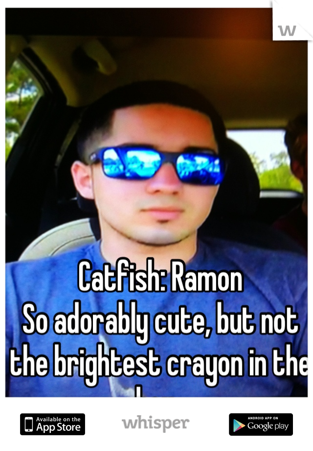 Catfish: Ramon
So adorably cute, but not the brightest crayon in the box. 