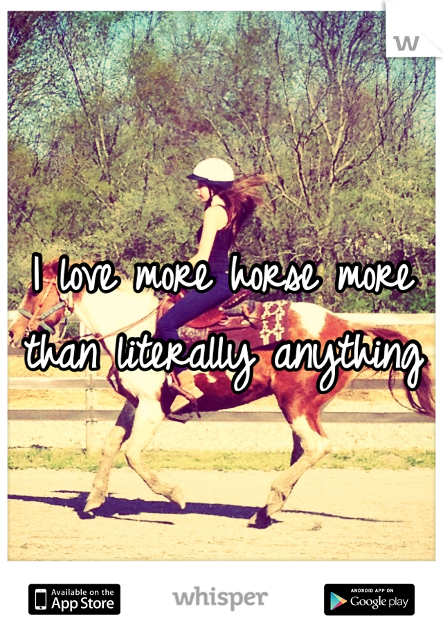 I love more horse more than literally anything