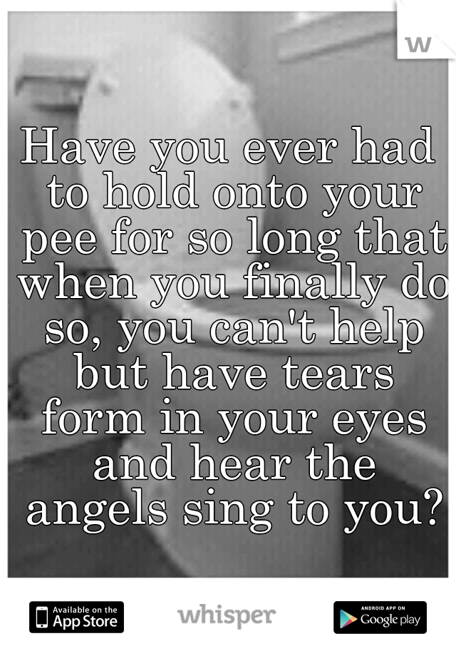 Have you ever had to hold onto your pee for so long that when you finally do so, you can't help but have tears form in your eyes and hear the angels sing to you?