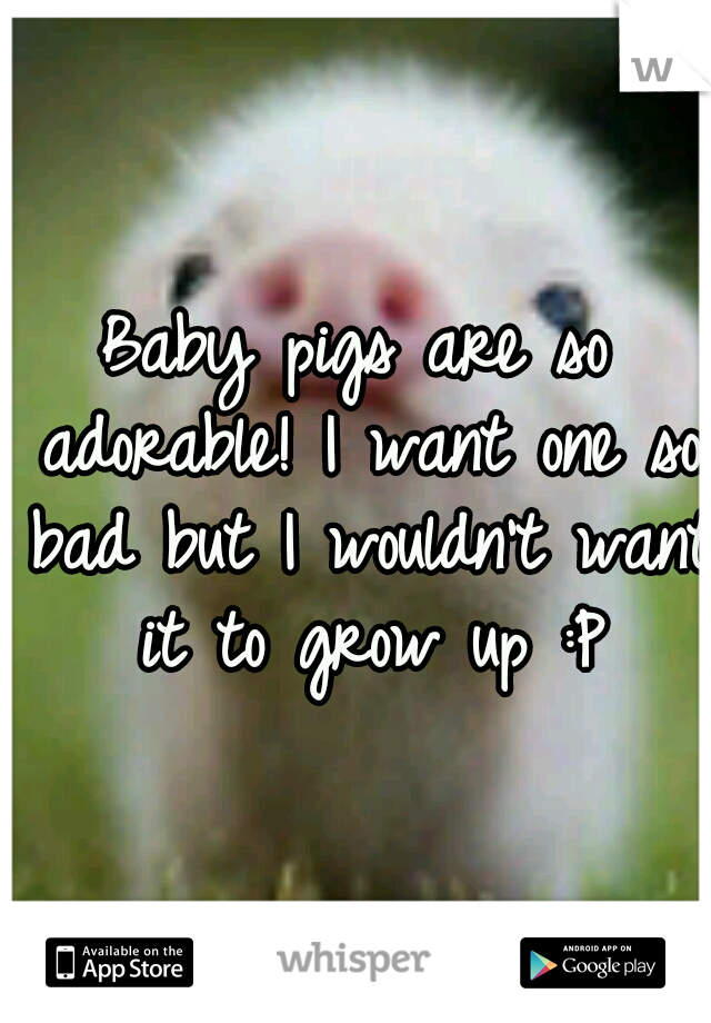 Baby pigs are so adorable! I want one so bad but I wouldn't want it to grow up :P