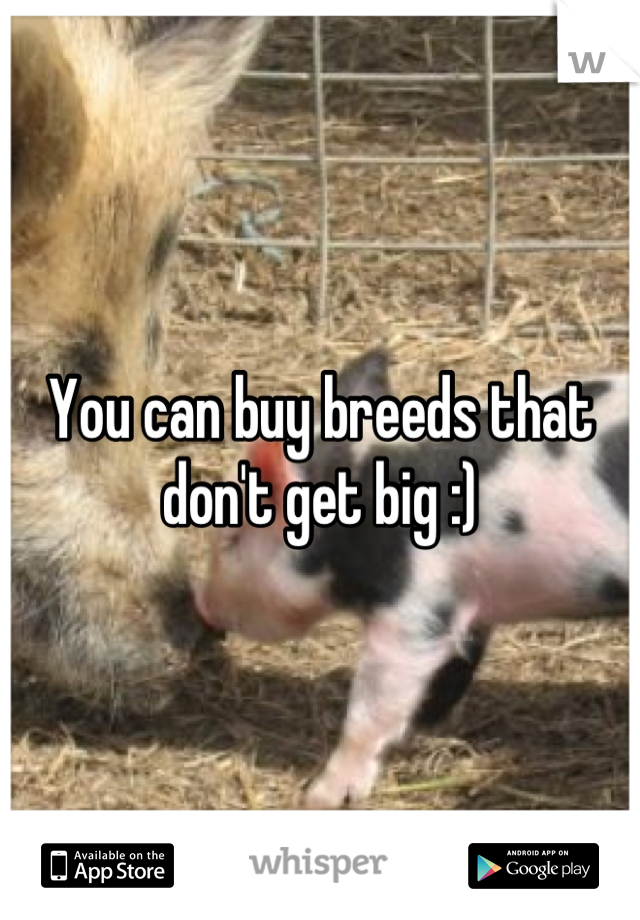 You can buy breeds that don't get big :)