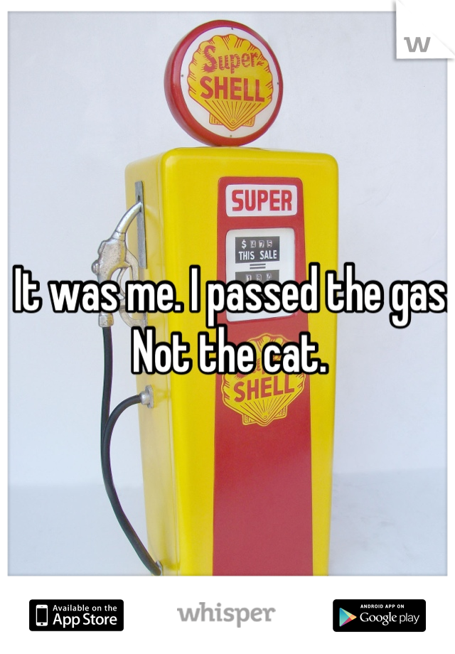It was me. I passed the gas. Not the cat. 