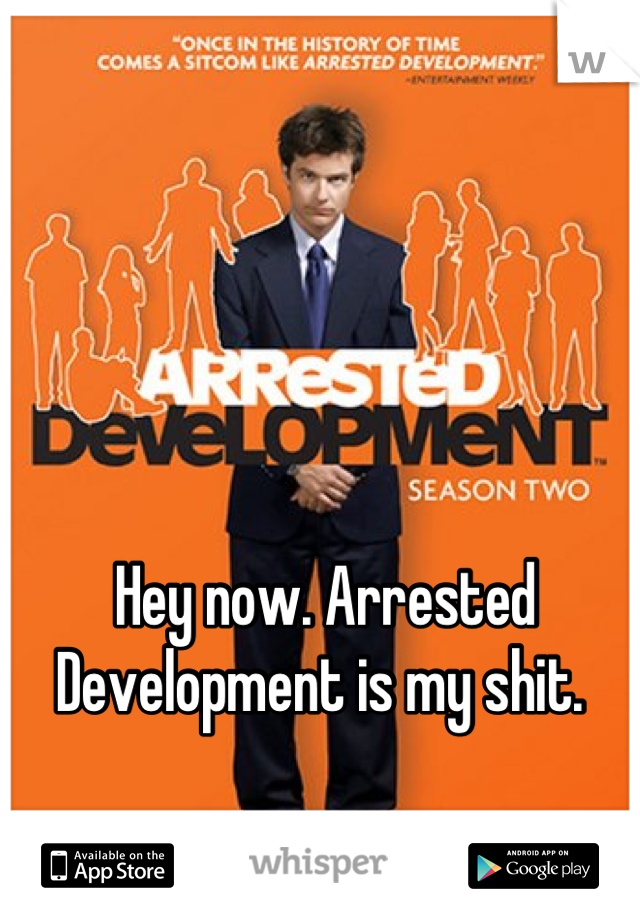 Hey now. Arrested Development is my shit. 