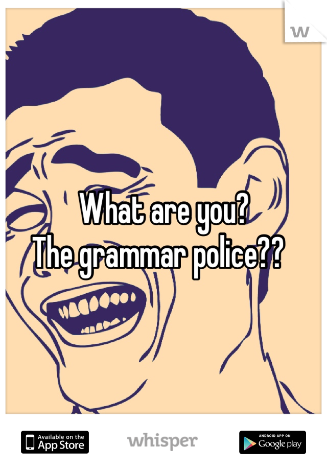 What are you? 
The grammar police??  