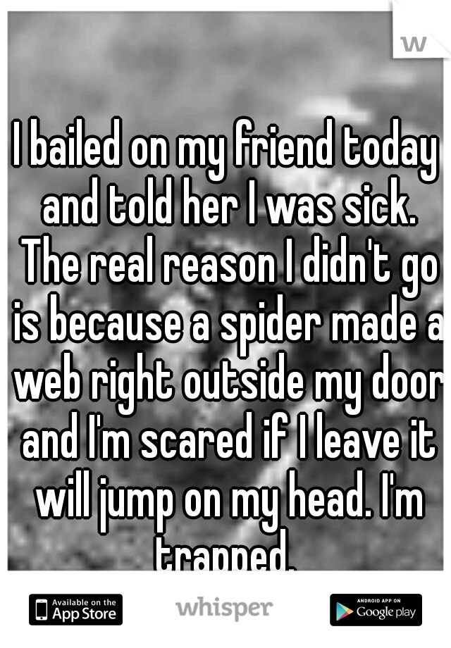 I bailed on my friend today and told her I was sick. The real reason I didn't go is because a spider made a web right outside my door and I'm scared if I leave it will jump on my head. I'm trapped. 