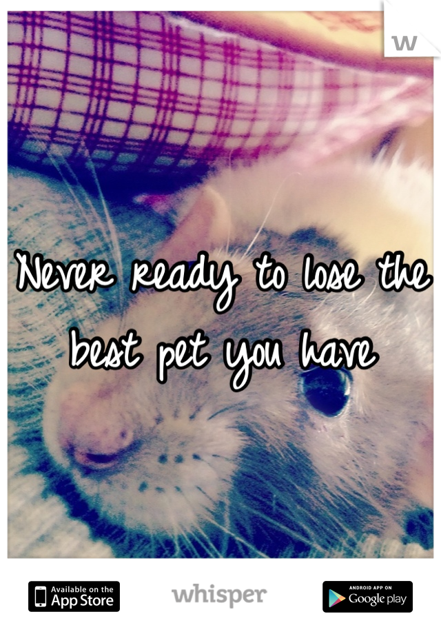 Never ready to lose the best pet you have