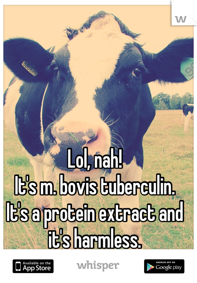 Lol, nah!
It's m. bovis tuberculin.
It's a protein extract and it's harmless.
It's a tuberculosis test.