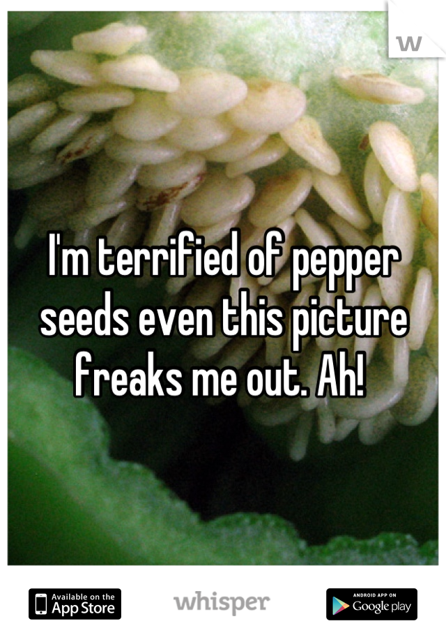 I'm terrified of pepper seeds even this picture freaks me out. Ah! 