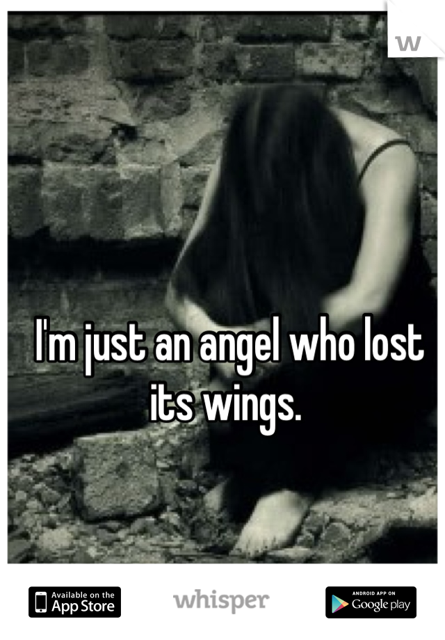 I'm just an angel who lost its wings. 