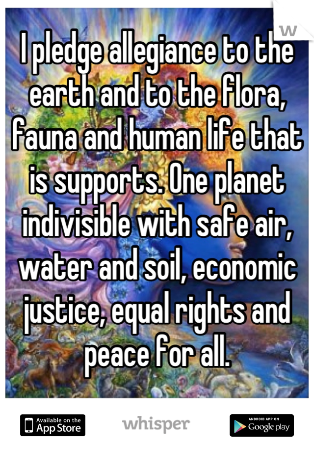 I pledge allegiance to the earth and to the flora, fauna and human life that is supports. One planet indivisible with safe air, water and soil, economic justice, equal rights and peace for all. 
🌛🌞🌜