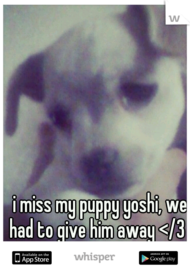 i miss my puppy yoshi, we had to give him away </3
