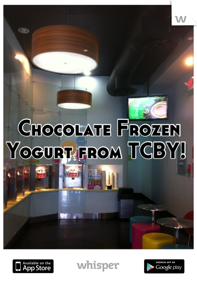 Chocolate Frozen Yogurt from TCBY! 