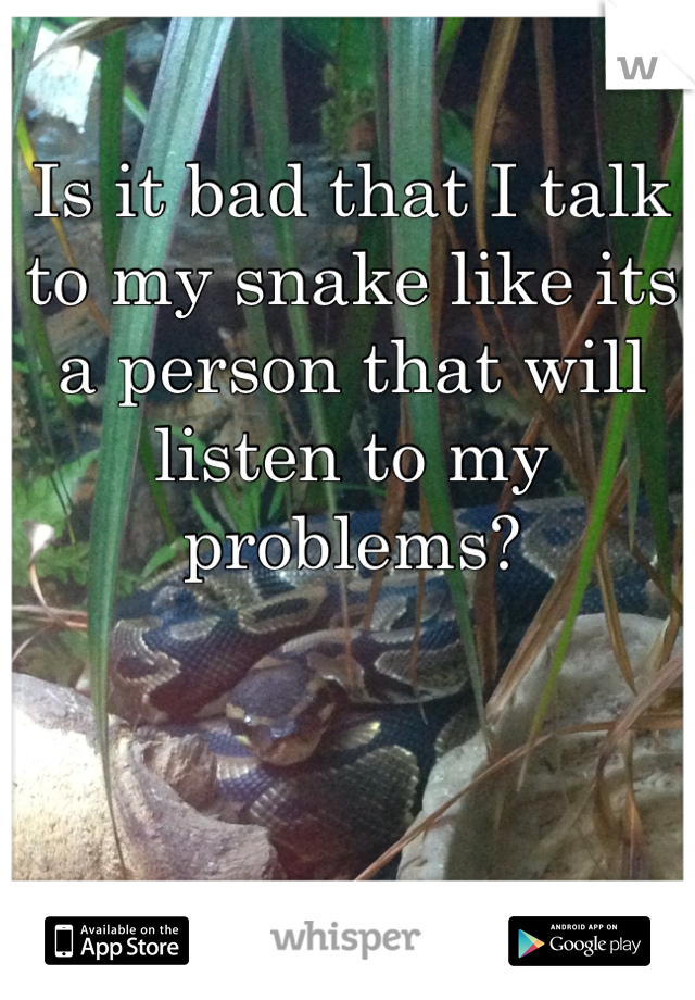 Is it bad that I talk to my snake like its a person that will listen to my problems?