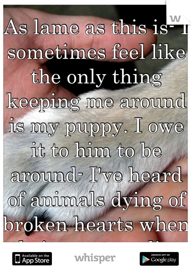 As lame as this is- I sometimes feel like the only thing keeping me around is my puppy. I owe it to him to be around- I've heard of animals dying of broken hearts when their masters die. 
