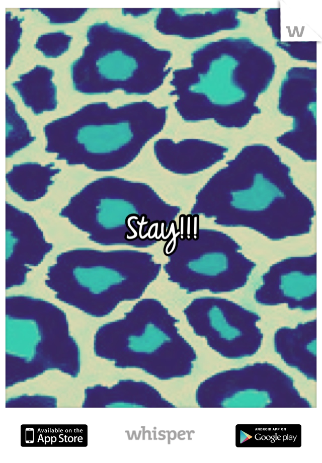 Stay!!!
