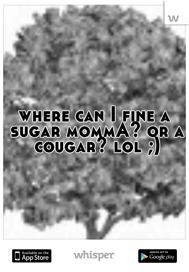 where can I fine a sugar mommA? or a cougar? lol ;)