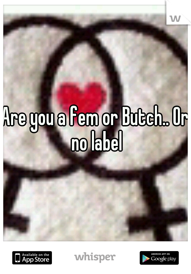 Are you a fem or Butch.. Or no label