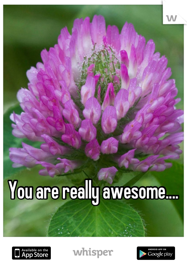 You are really awesome....

