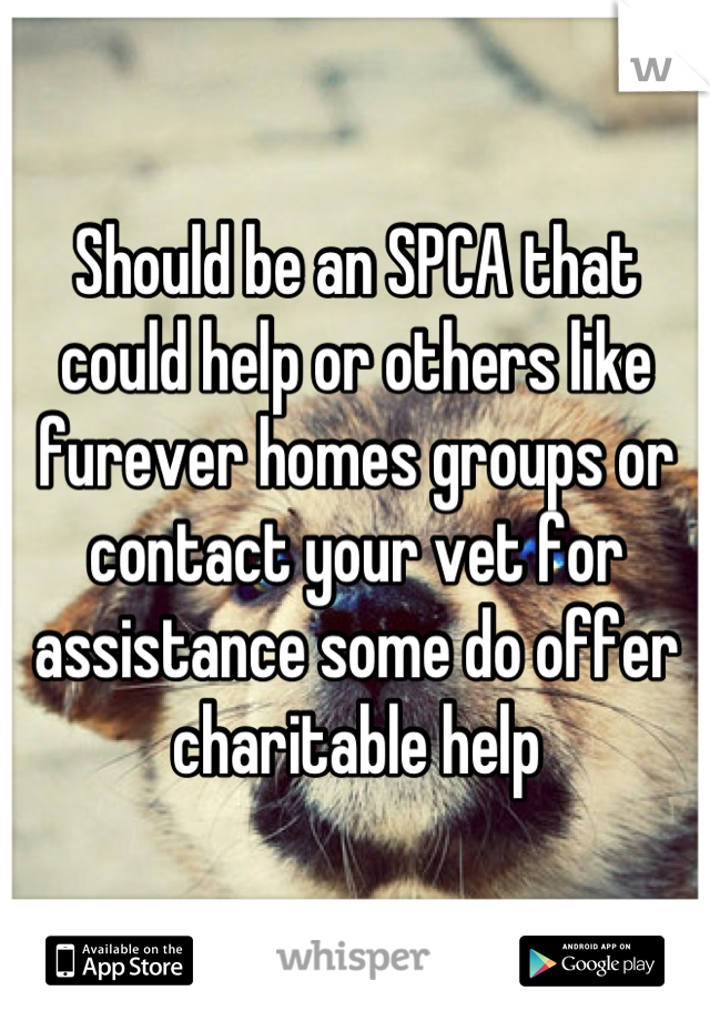 Should be an SPCA that could help or others like furever homes groups or contact your vet for assistance some do offer charitable help