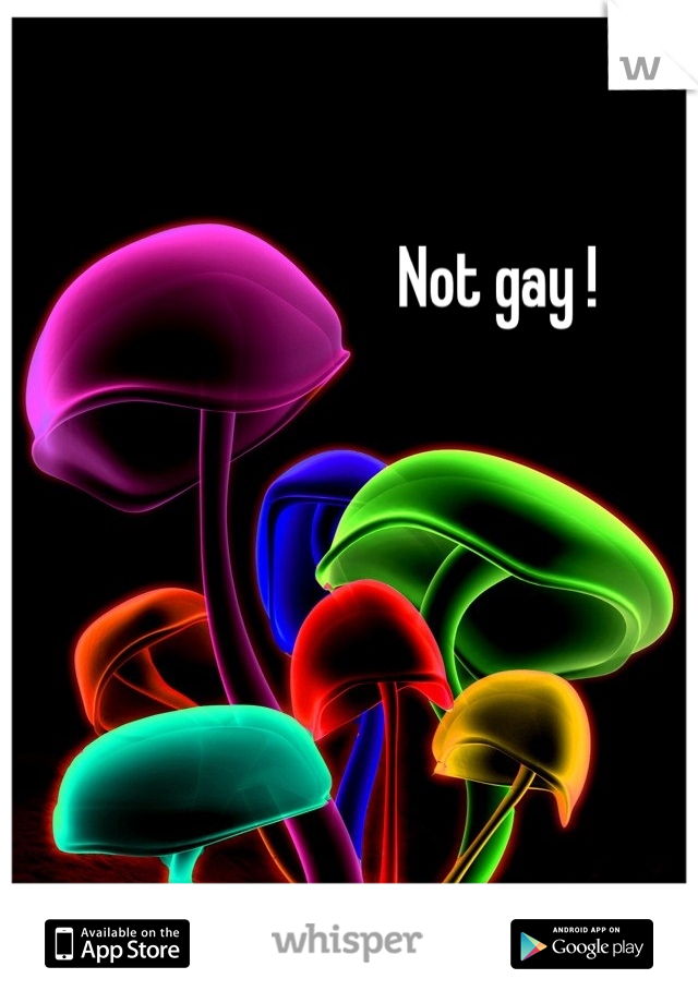 Not gay !