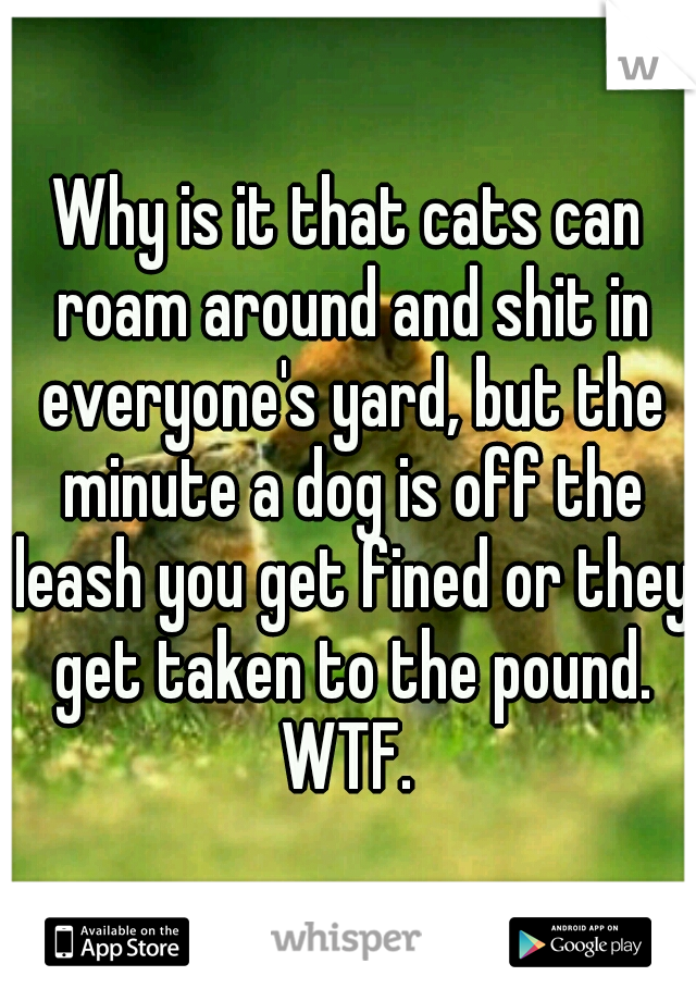 Why is it that cats can roam around and shit in everyone's yard, but the minute a dog is off the leash you get fined or they get taken to the pound. WTF. 