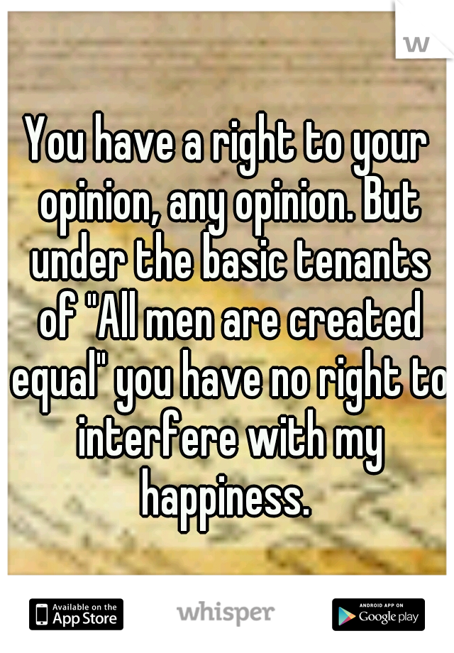 You have a right to your opinion, any opinion. But under the basic tenants of "All men are created equal" you have no right to interfere with my happiness. 