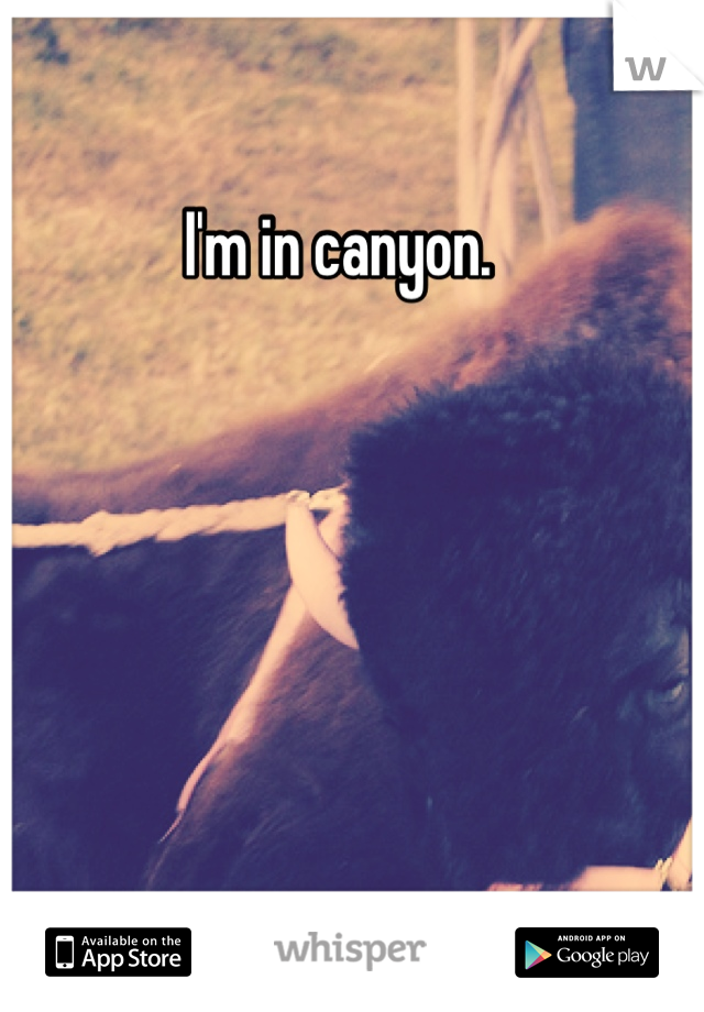 I'm in canyon. 