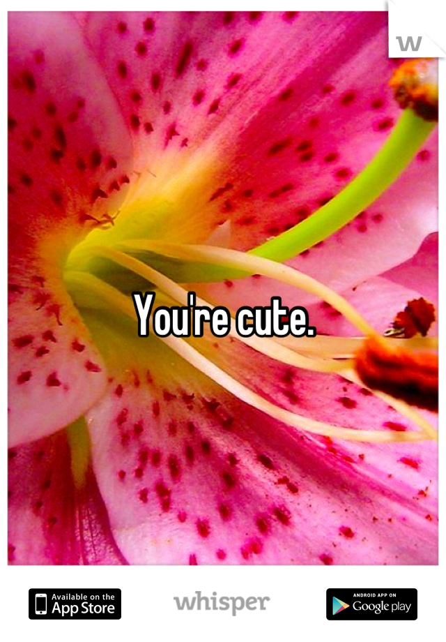 You're cute.
