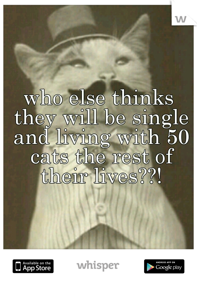 who else thinks they will be single and living with 50 cats the rest of their lives??!