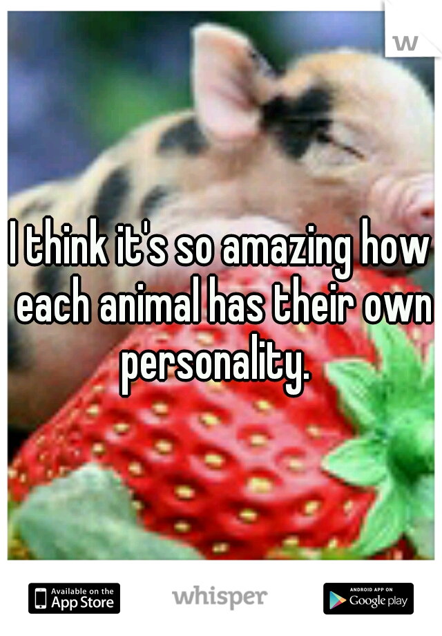 I think it's so amazing how each animal has their own personality.  