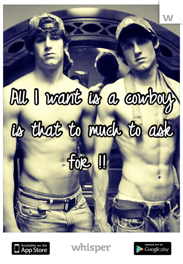 All I want is a cowboy is that to much to ask for !! 