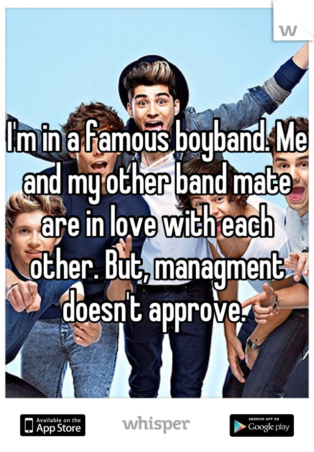 I'm in a famous boyband. Me and my other band mate are in love with each other. But, managment doesn't approve. 