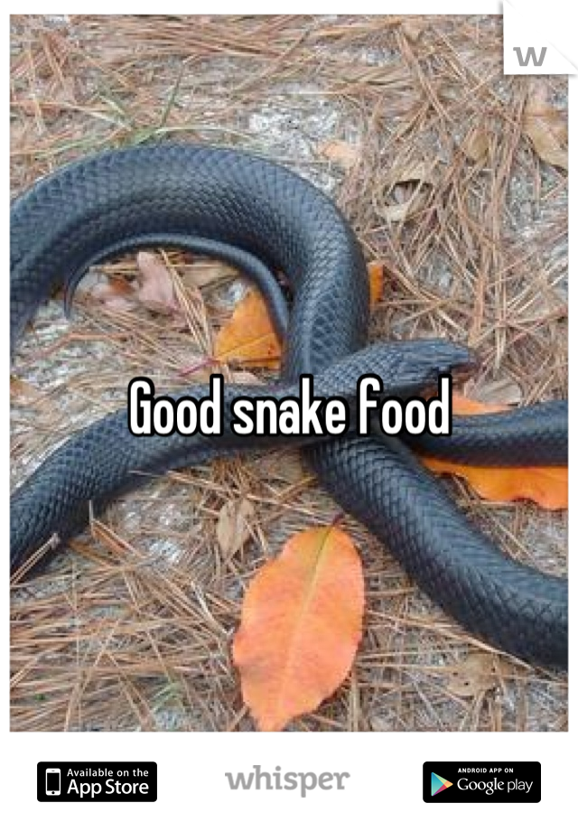 Good snake food
