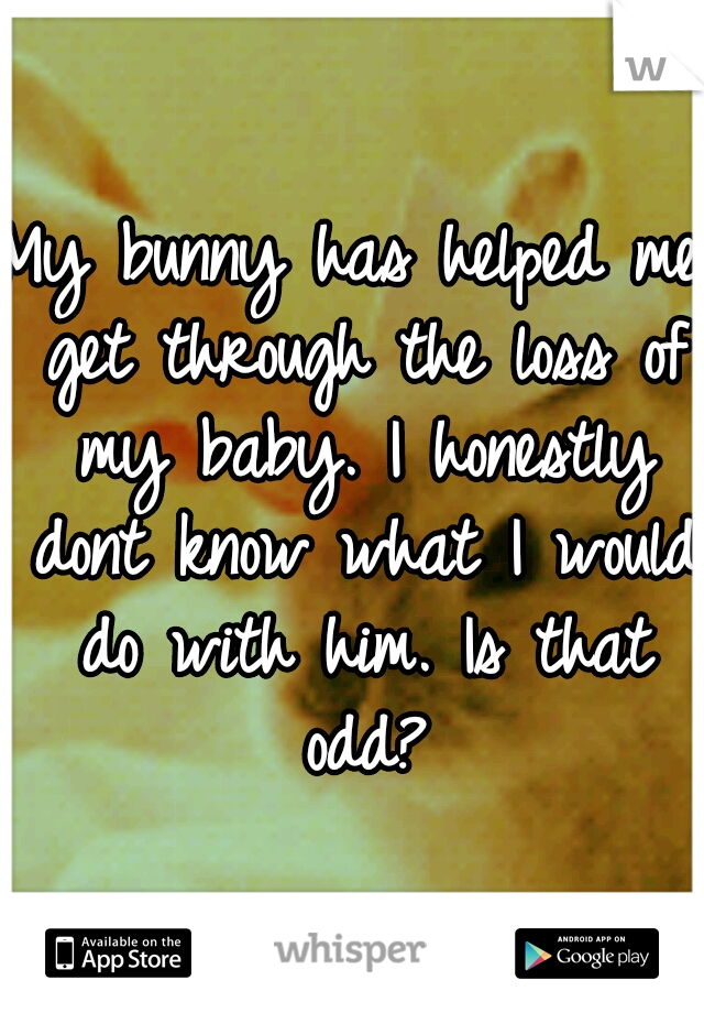 My bunny has helped me get through the loss of my baby. I honestly dont know what I would do with him. Is that odd?