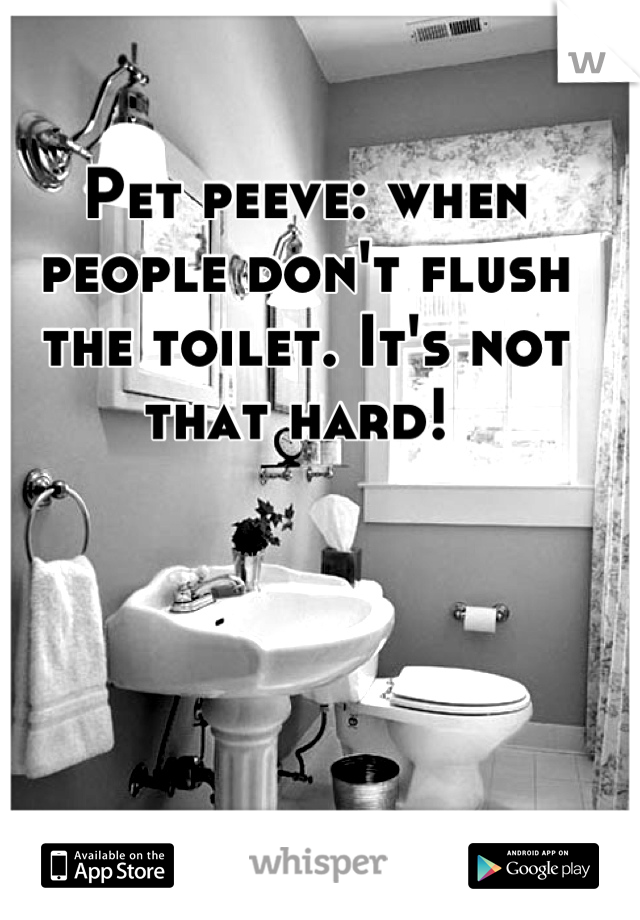 Pet peeve: when people don't flush the toilet. It's not that hard! 