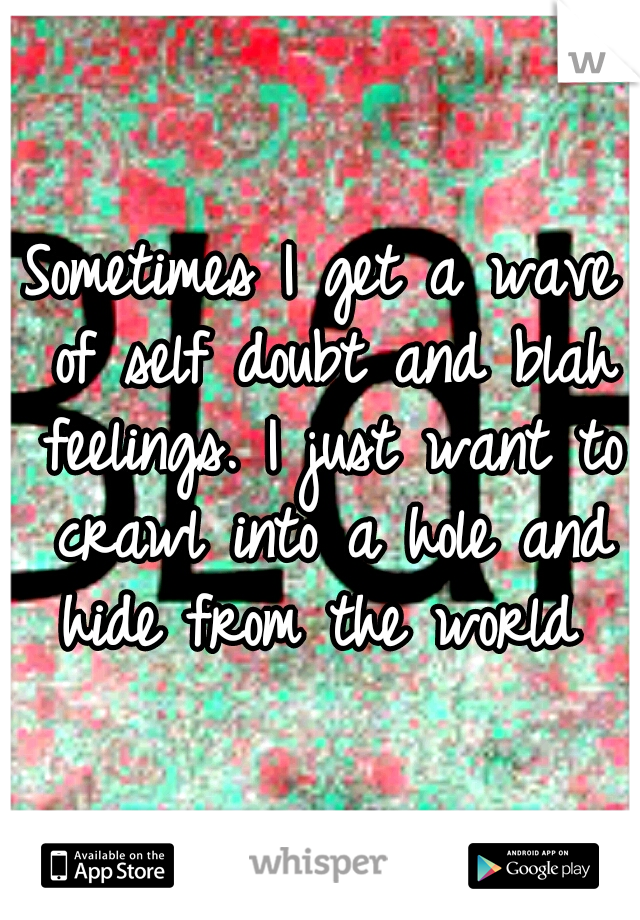 Sometimes I get a wave of self doubt and blah feelings. I just want to crawl into a hole and hide from the world 