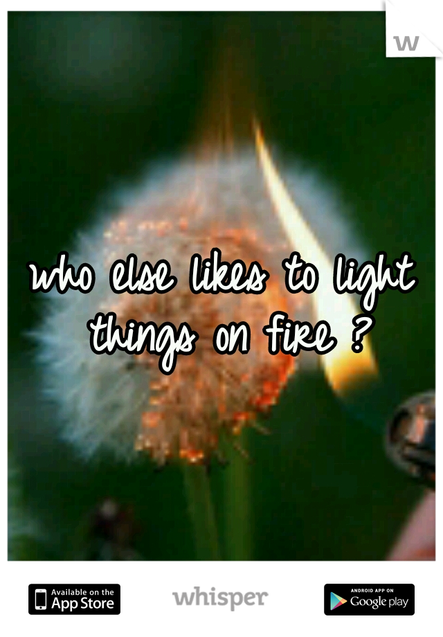 who else likes to light things on fire ?