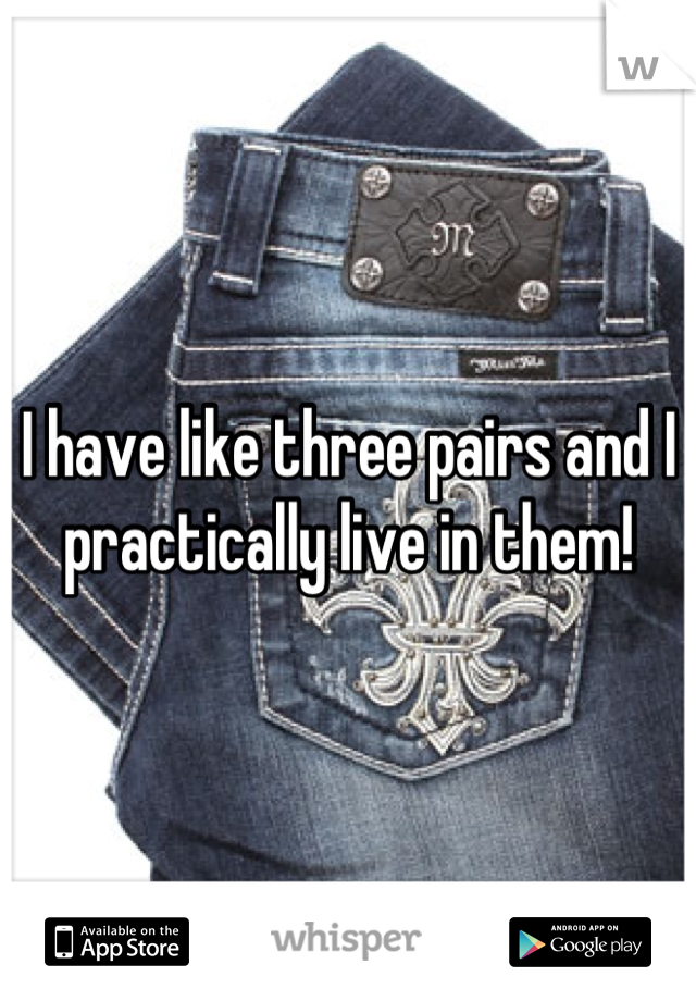 I have like three pairs and I practically live in them!
