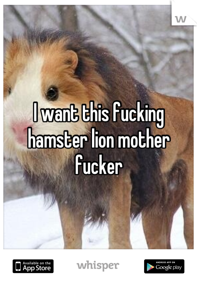 I want this fucking hamster lion mother fucker