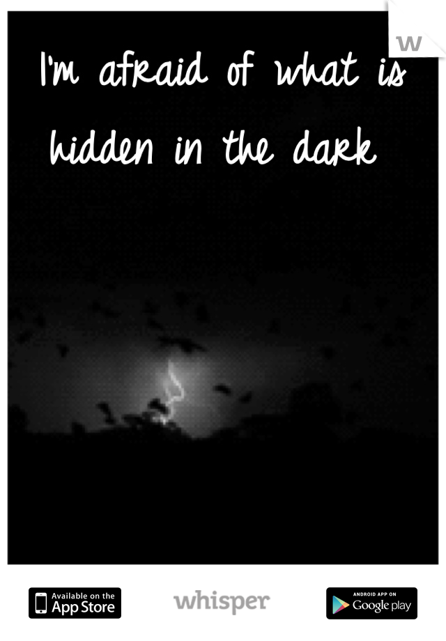 I'm afraid of what is hidden in the dark 