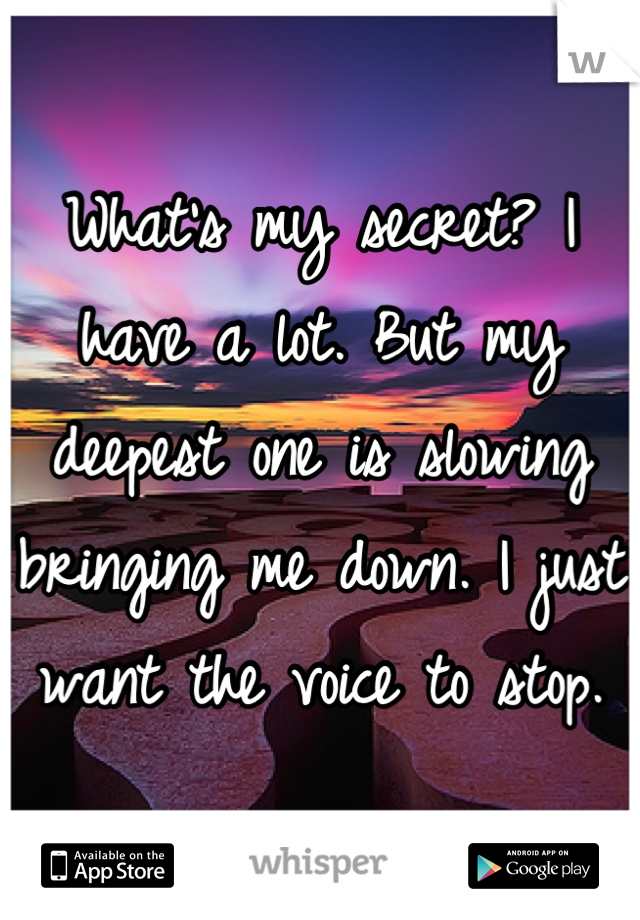 What's my secret? I have a lot. But my deepest one is slowing bringing me down. I just want the voice to stop.