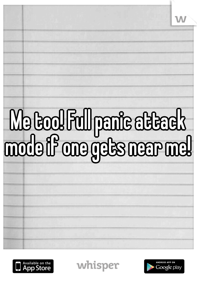 Me too! Full panic attack mode if one gets near me! 