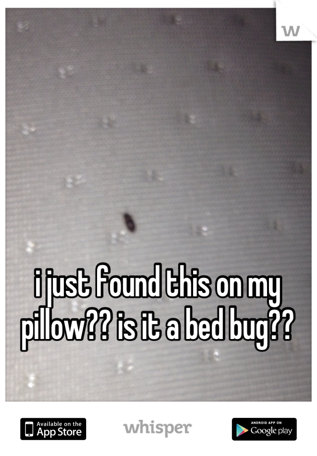i just found this on my pillow?? is it a bed bug??