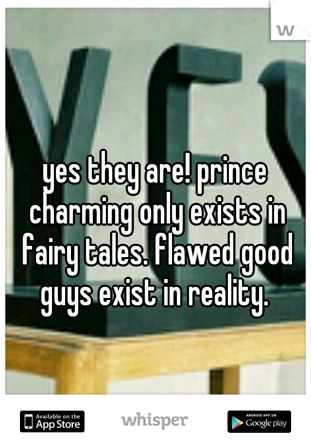 yes they are! prince charming only exists in fairy tales. flawed good guys exist in reality. 