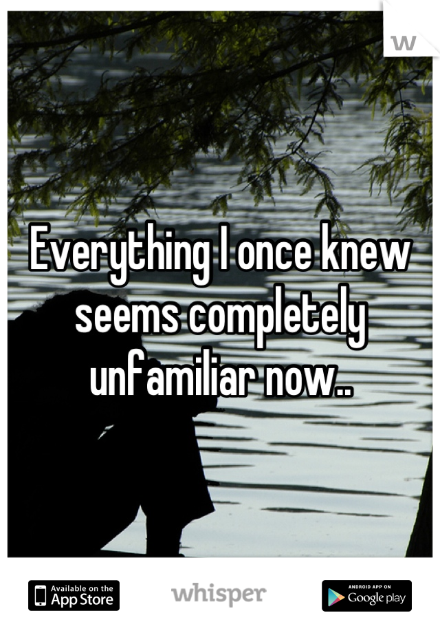 Everything I once knew seems completely unfamiliar now..