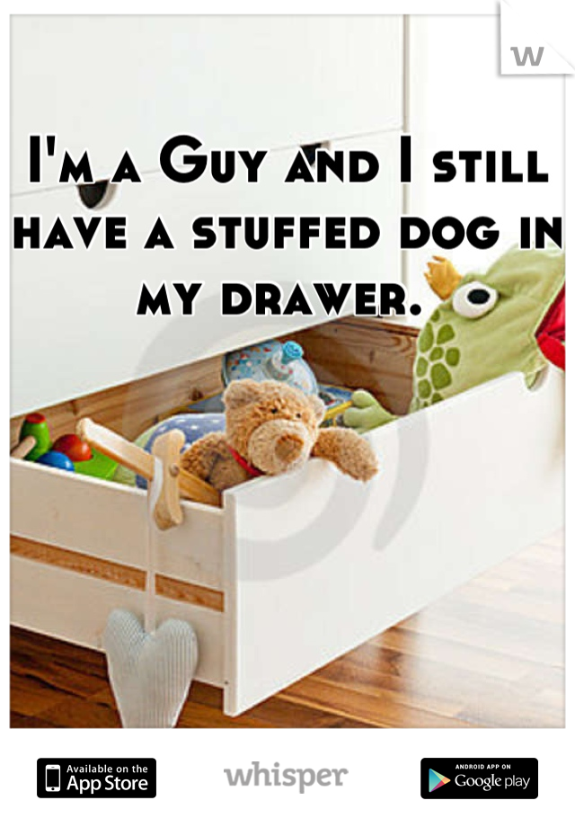 I'm a Guy and I still have a stuffed dog in my drawer. 