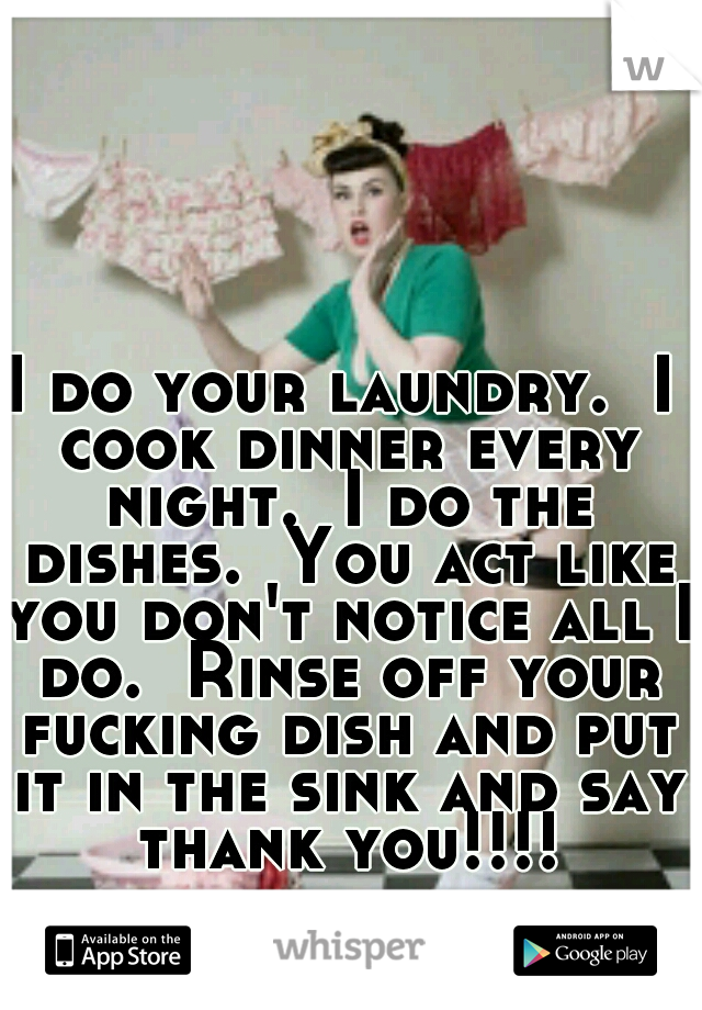 I do your laundry.  I cook dinner every night.  I do the dishes.  You act like you don't notice all I do.  Rinse off your fucking dish and put it in the sink and say thank you!!!!