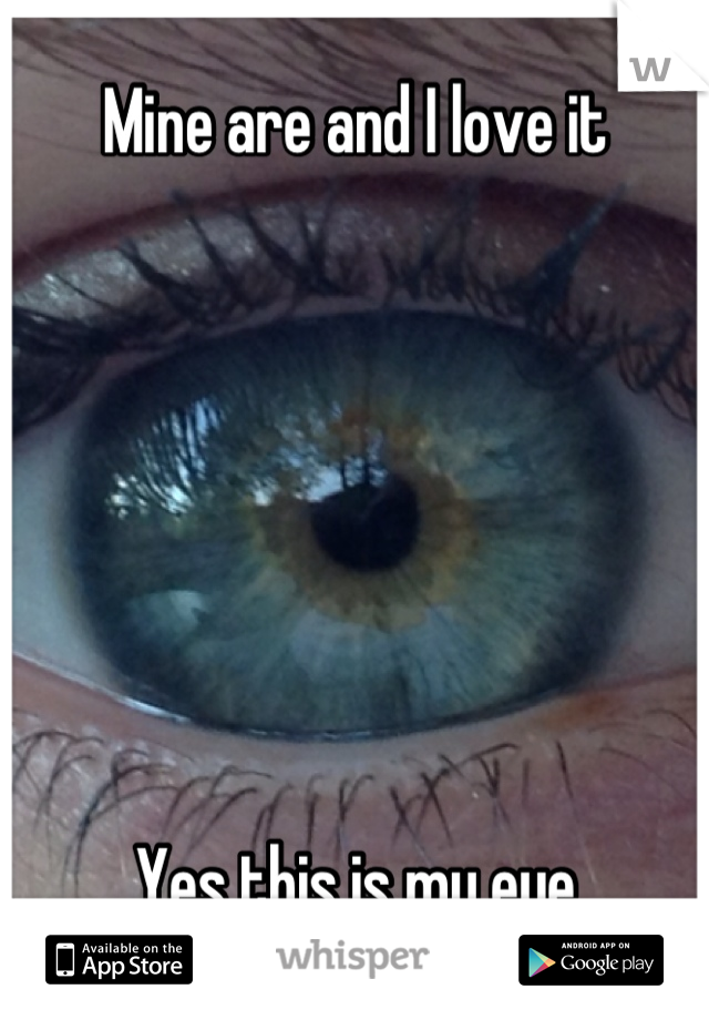 Mine are and I love it







Yes this is my eye